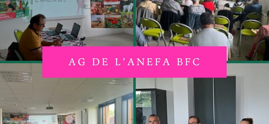 Mardi 21 mai 2024 : retour sur l'Assemblée générale ordinaire de l'ANEFA Bourgogne-Franche-Comté à Bretenière (21)