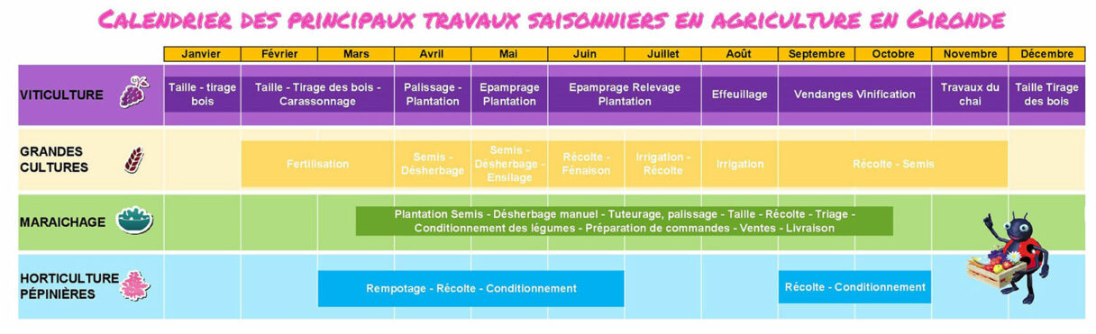 Les saisons agricoles en Gironde - ANEFA Gironde